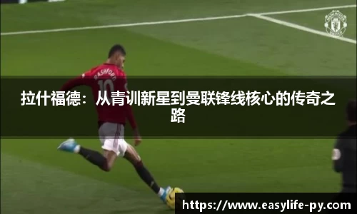 彩神VI首页官网